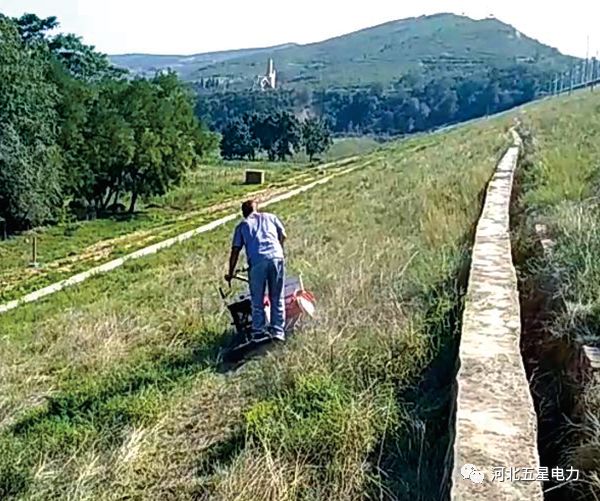 瓦爾特·御虹”WX-800型履帶自行走式堤防割草機(jī) 瓦爾特·御虹”WX-800型履帶自行走式堤防割草機(jī)